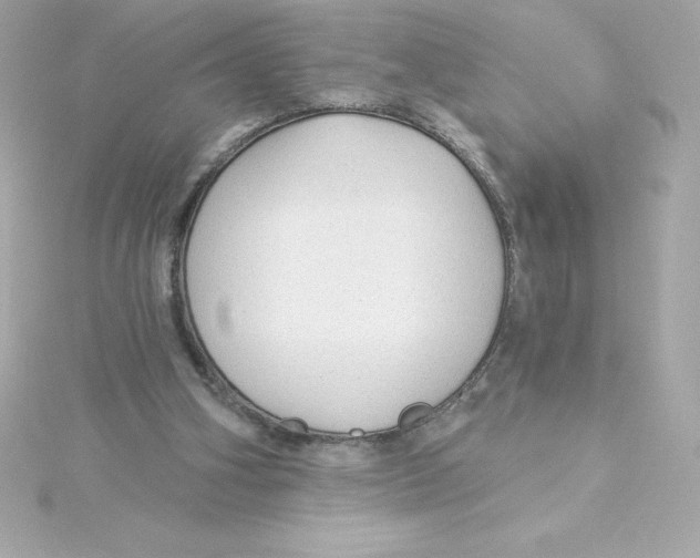 X0000115270106200911271954