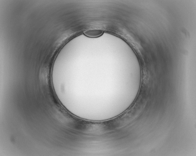 X0000115270107200911271954