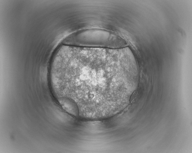 X0000115270108200911271954