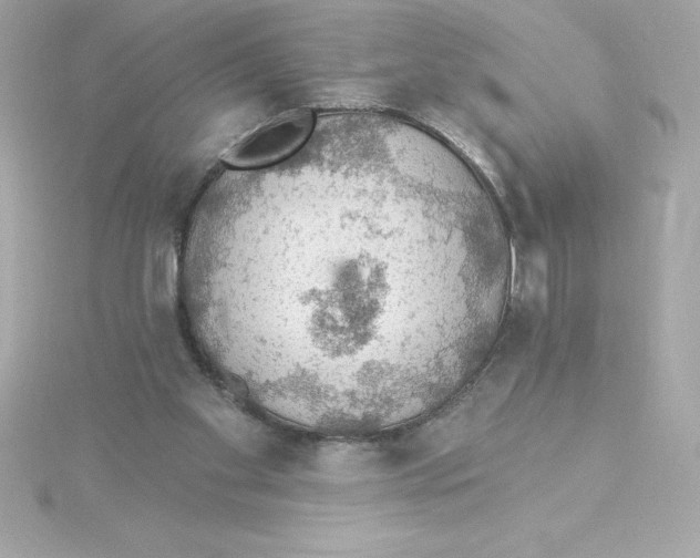 X0000115270109200911271954