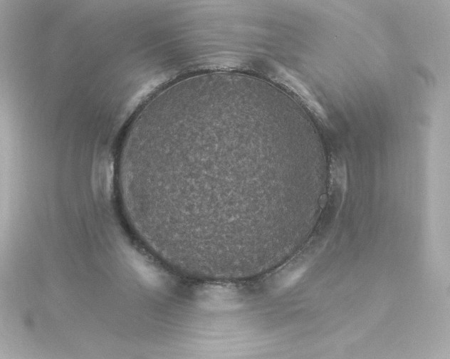 X0000115270110200911271954