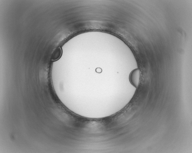 X0000115270111200911271954