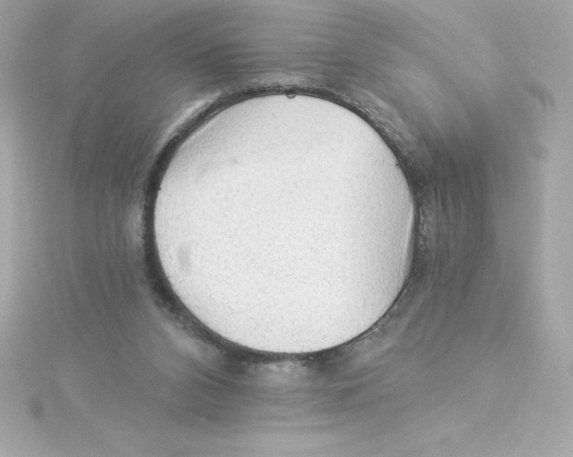 X0000115270112200911271954