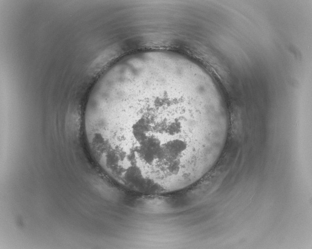 X0000115270113200911271954