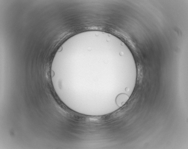 X0000115270114200911271954