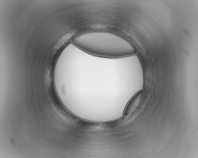 X0000115270116200911271954