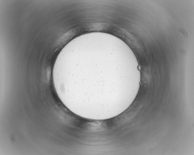 X0000115270118200911271954