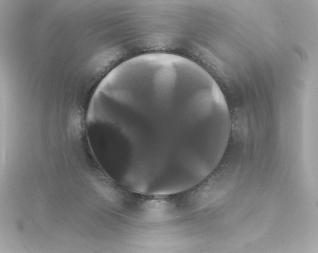 X0000115270119200911271954