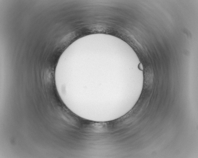 X0000115270126200911271954