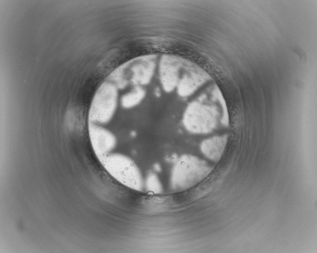 X0000115270129200911271954