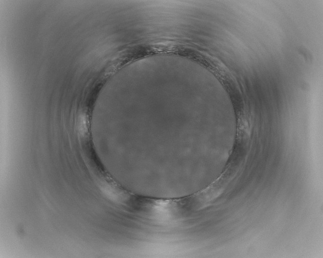 X0000115270130200911271954