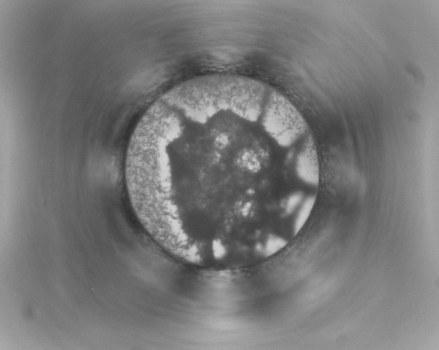 X0000115270131200911271954