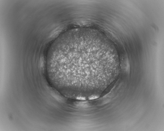 X0000115270132200911271954