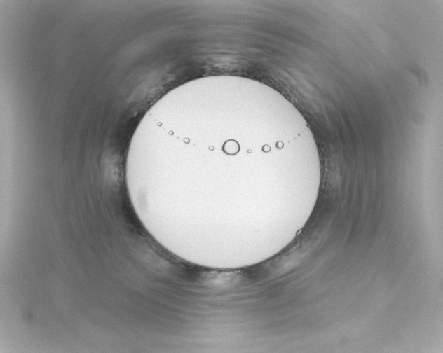 X0000115270135200911271953