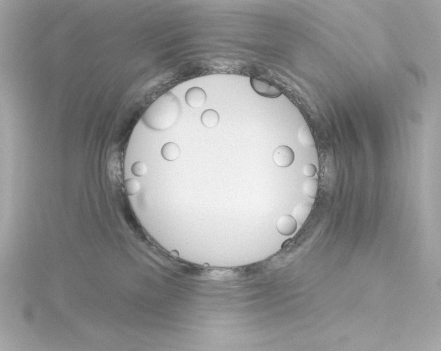 X0000115270137200911271953