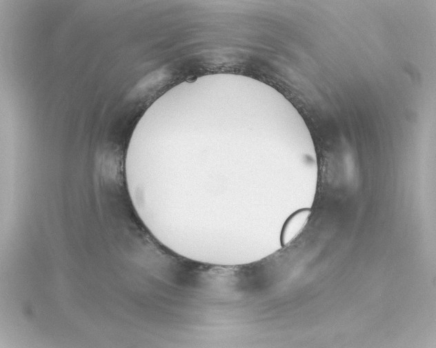 X0000115270138200911271953