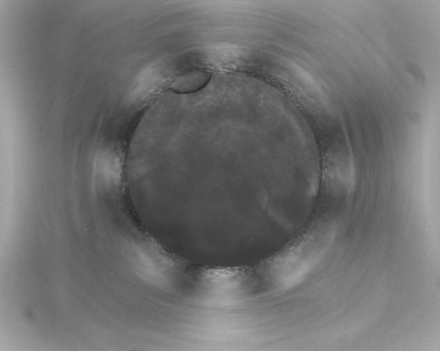 X0000115270139200911271953