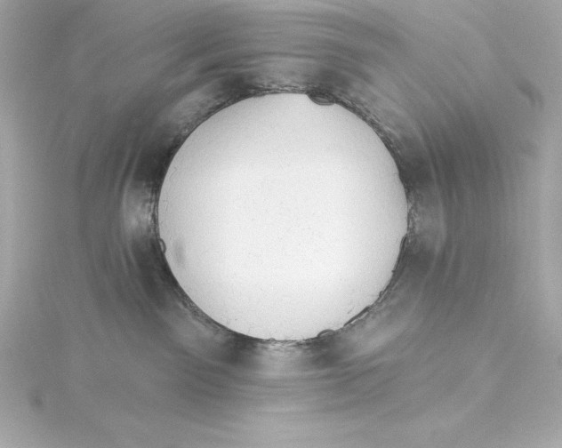 X0000115270141200911271953