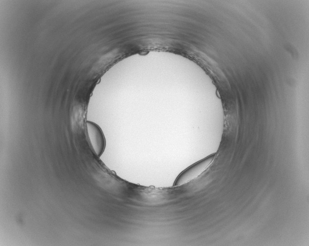 X0000115270142200911271953