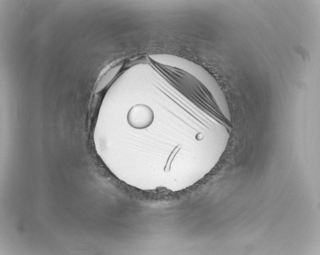 X0000115270144200911271953