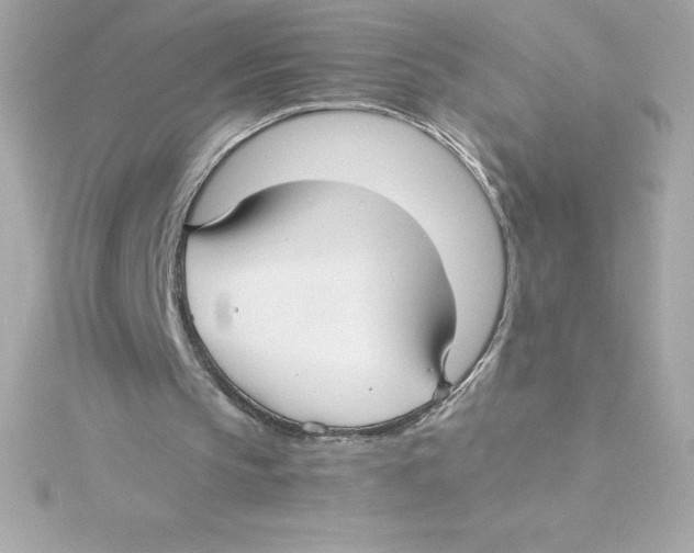 X0000115270145200911271953