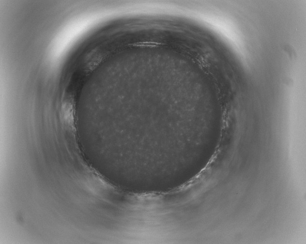 X0000115270146200911271953