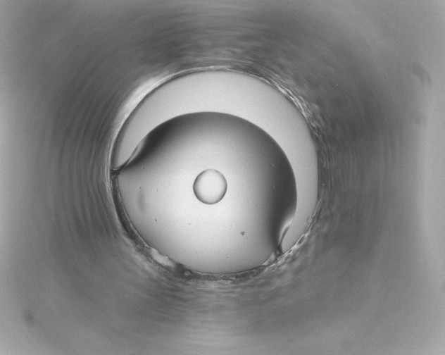 X0000115270147200911271953