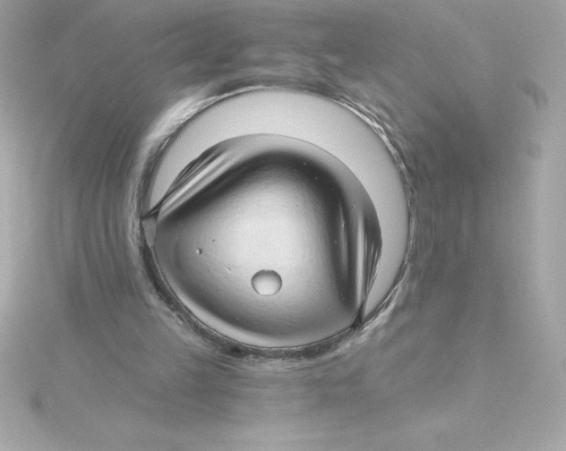 X0000115270149200911271953