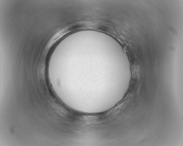 X0000115270150200911271953