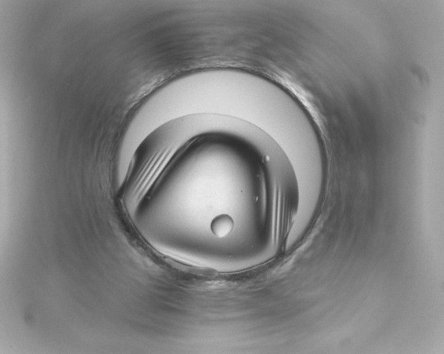 X0000115270153200911271953