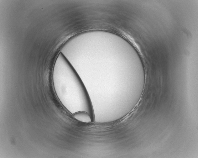 X0000115270154200911271953