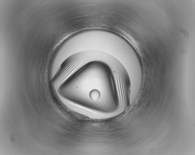 X0000115270155200911271953