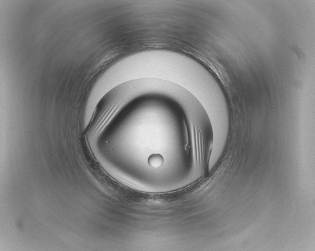 X0000115270157200911271953