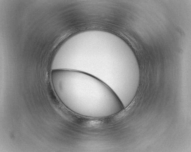 X0000115270158200911271953