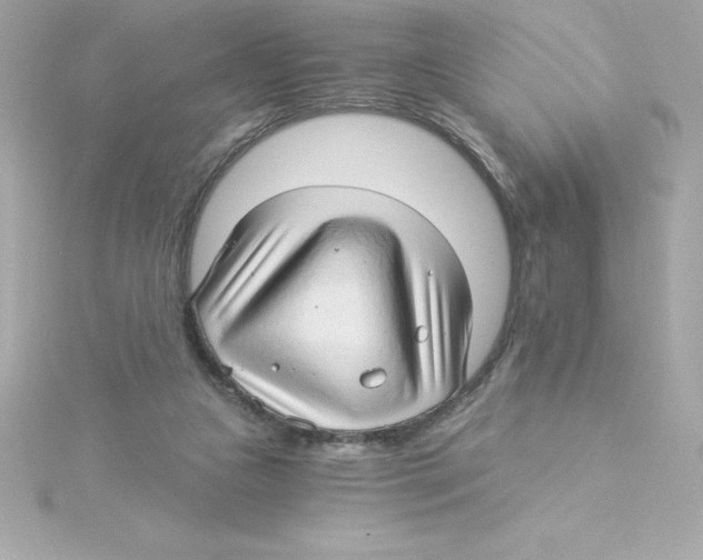 X0000115270161200911271953