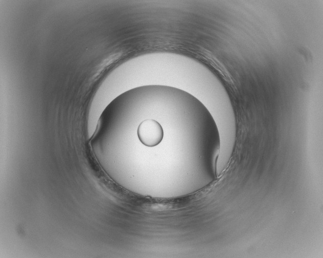 X0000115270163200911271953