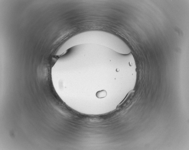 X0000115270165200911271953