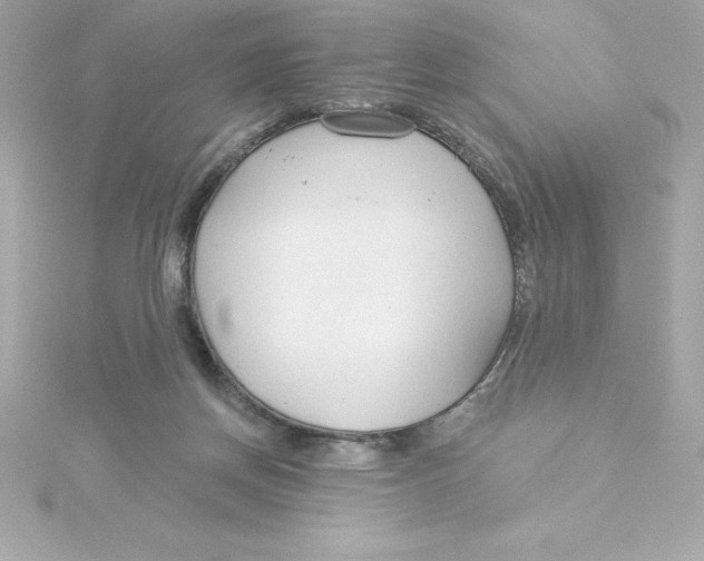 X0000115270166200911271953