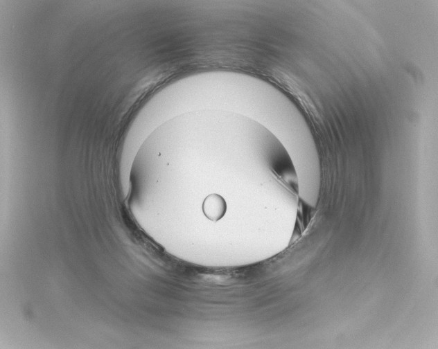 X0000115270167200911271953