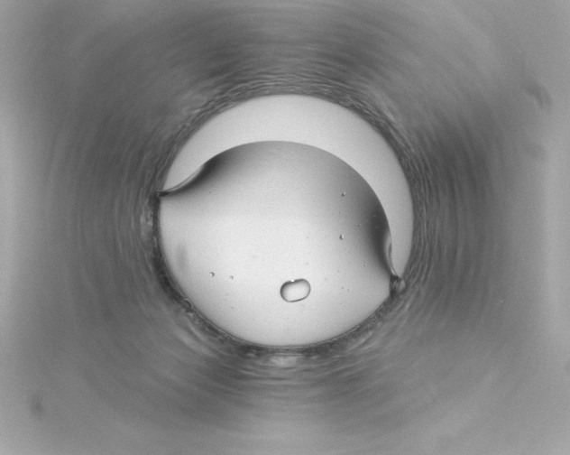 X0000115270173200911271953