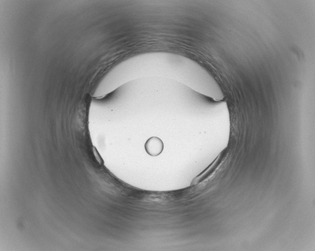 X0000115270175200911271953