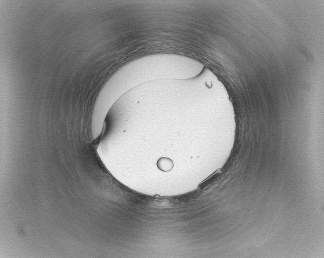 X0000115270177200911271953