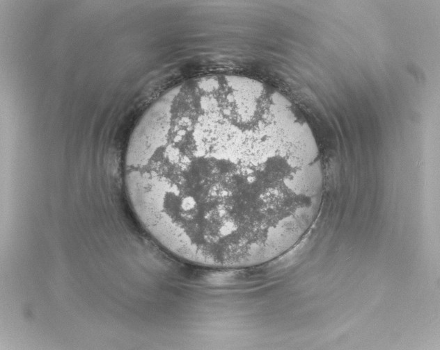 X0000115270178200911271953