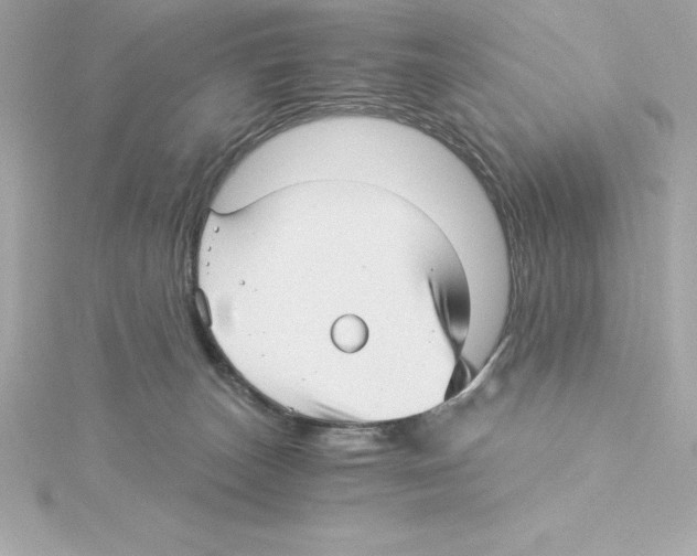 X0000115270179200911271953