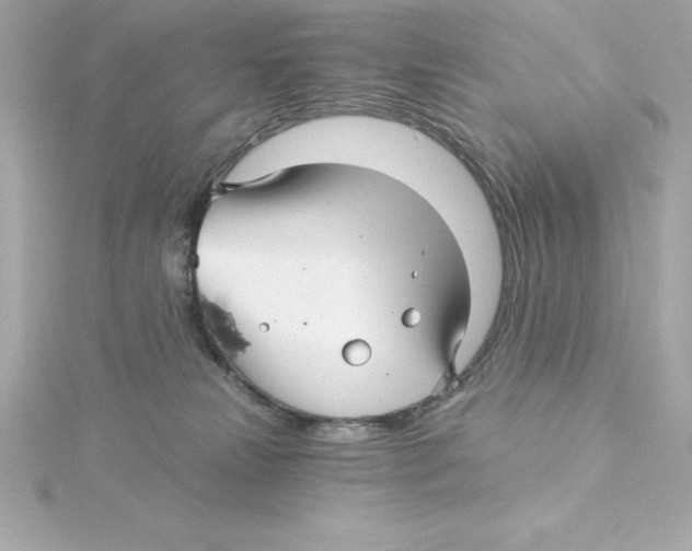 X0000115270181200911271953