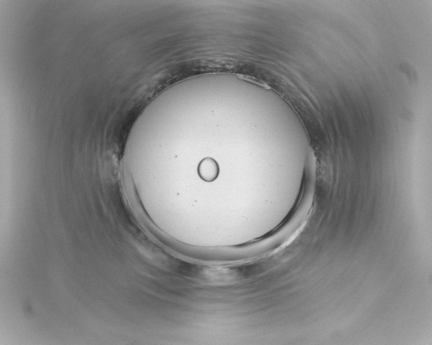 X0000115270183200911271953