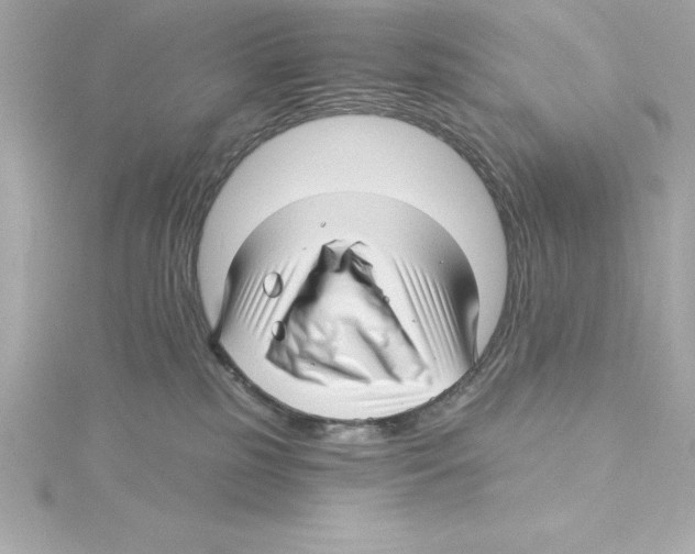 X0000115270185200911271953