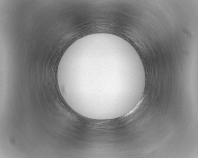 X0000115270187200911271953