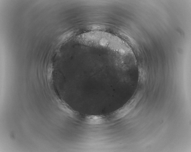 X0000115270189200911271953