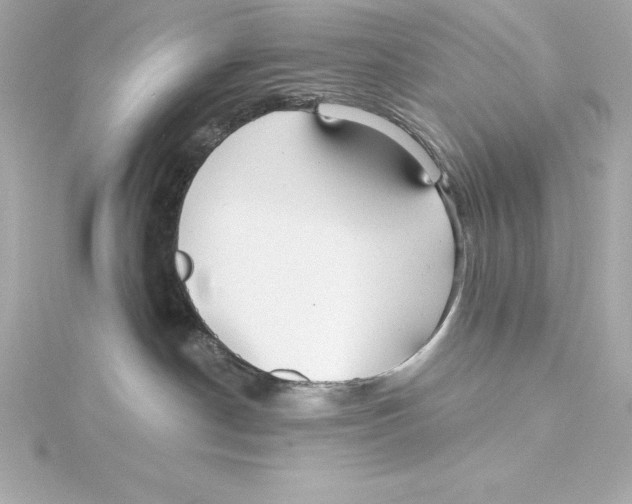 X0000115270190200911271953